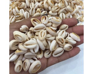 BÚZIOS (PCT C/ 12  UN)